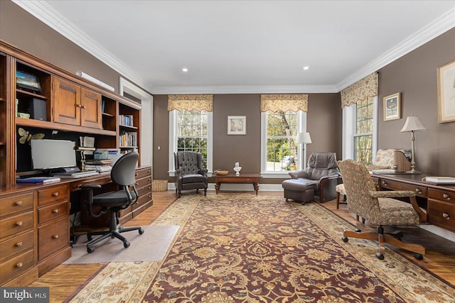 office featuring wood-type flooring and ornamental molding