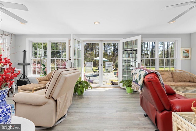 living room with ceiling fan and light wood-type flooring