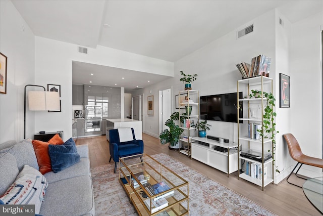 living room featuring wood-type flooring