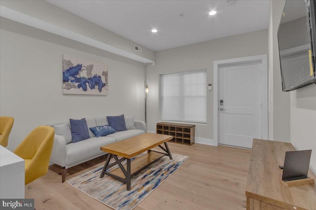 living room featuring light wood-type flooring