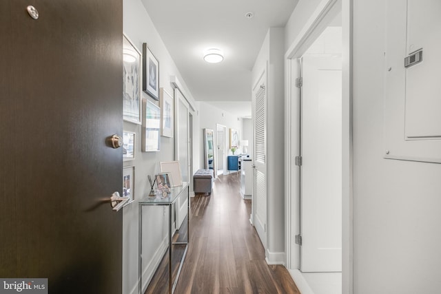 hallway featuring dark hardwood / wood-style flooring