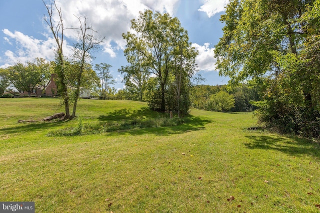1791 Warrenton Rd, Fredericksburg, VA 22406 - view of green lawn