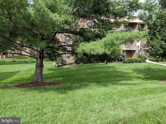 view of yard with a balcony