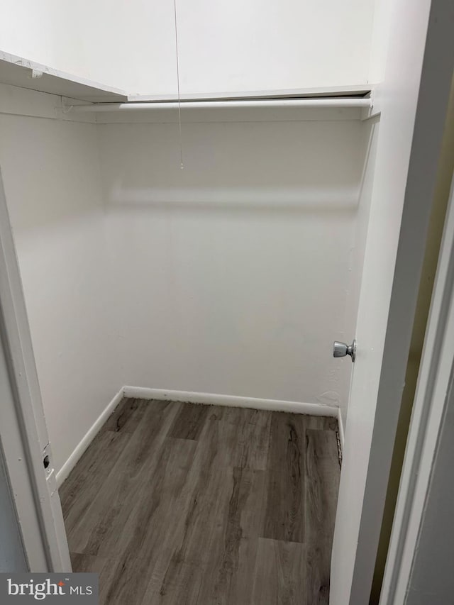 spacious closet featuring dark wood-type flooring