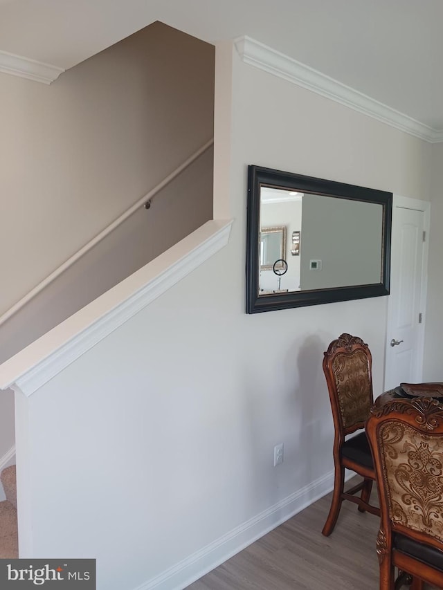 office area featuring hardwood / wood-style floors and crown molding