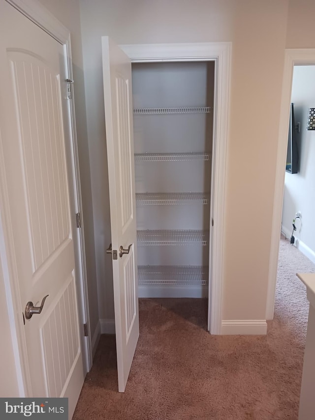 view of closet