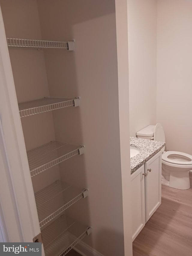 bathroom featuring toilet, vanity, and hardwood / wood-style flooring