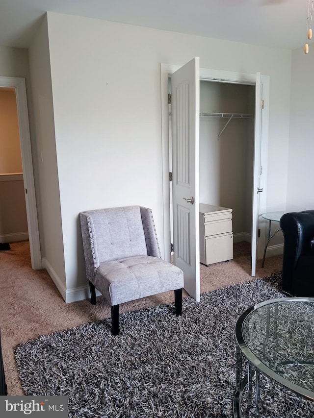 sitting room with carpet flooring