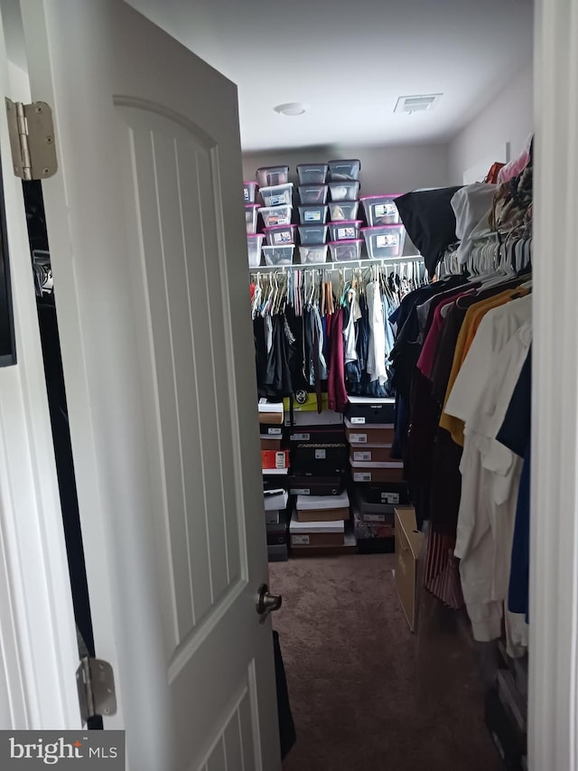 spacious closet with carpet floors