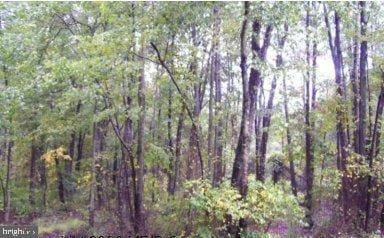 7509 James Madison Hwy, Gainesville, VA 20155