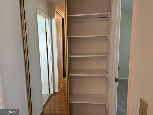 view of closet