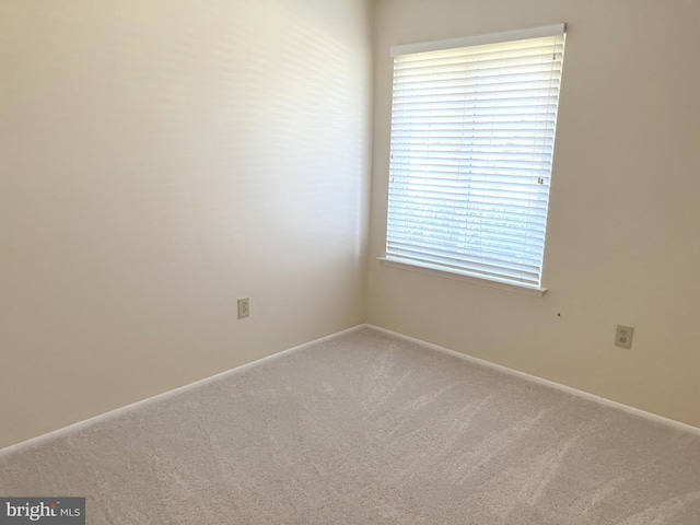 spare room with carpet