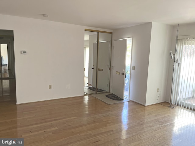 entryway featuring a healthy amount of sunlight and light hardwood / wood-style floors