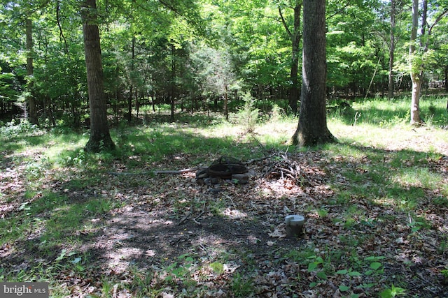 Listing photo 3 for LOT8 King Ct, Springfield WV 26763