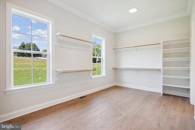 spacious closet with light wood-type flooring