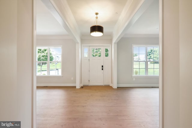 foyer featuring light hardwood / wood-style floors, crown molding, and plenty of natural light