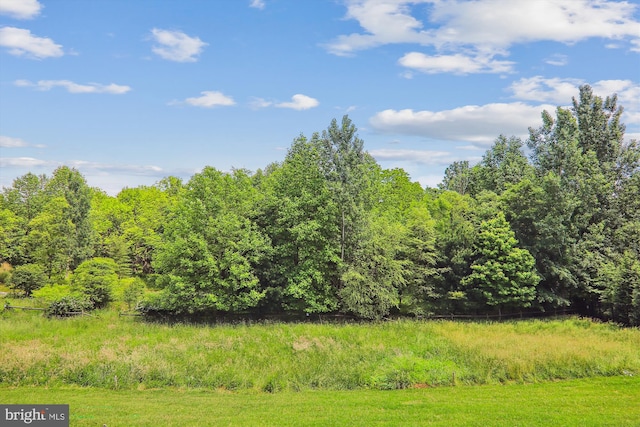 view of local wilderness