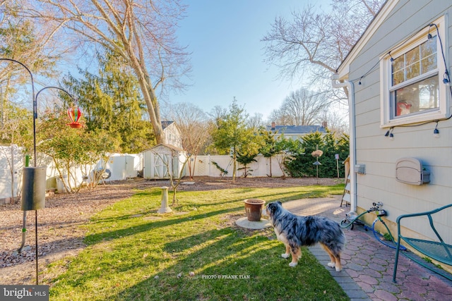 view of yard featuring a patio area and a storage shed