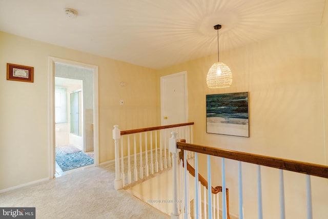 hallway with carpet floors