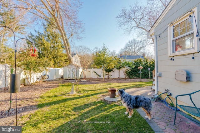 view of yard with a patio area and a shed