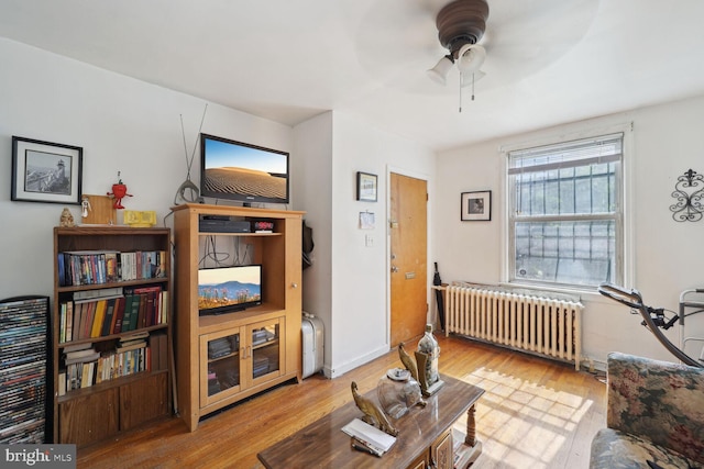 living room with ceiling fan, light hardwood / wood-style floors, and radiator