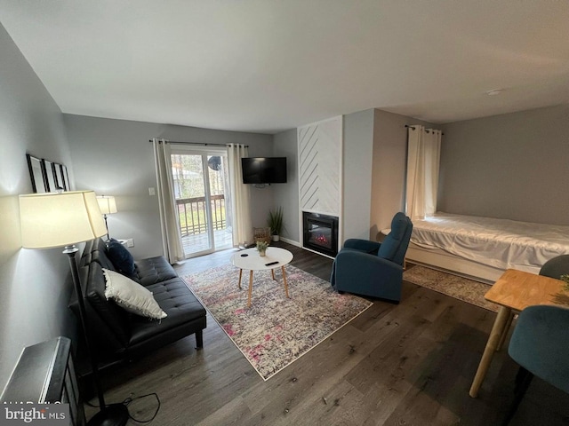 living room featuring wood-type flooring