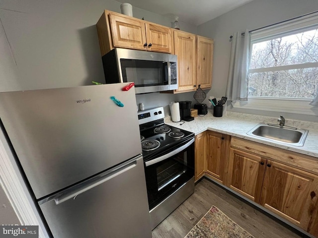 kitchen with dark hardwood / wood-style floors, stainless steel appliances, and sink