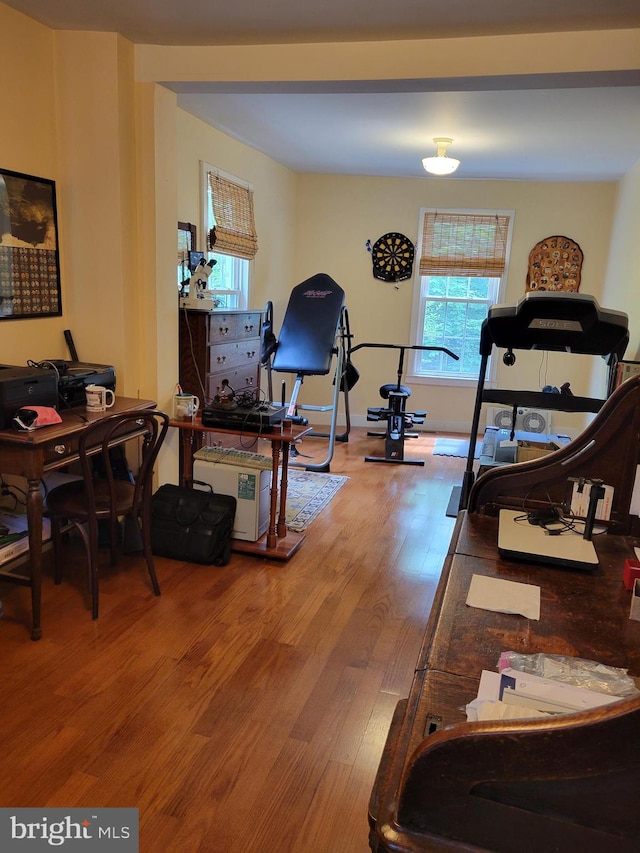 workout room with wood-type flooring and plenty of natural light