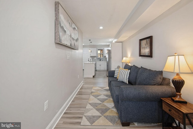 living room featuring wood-type flooring