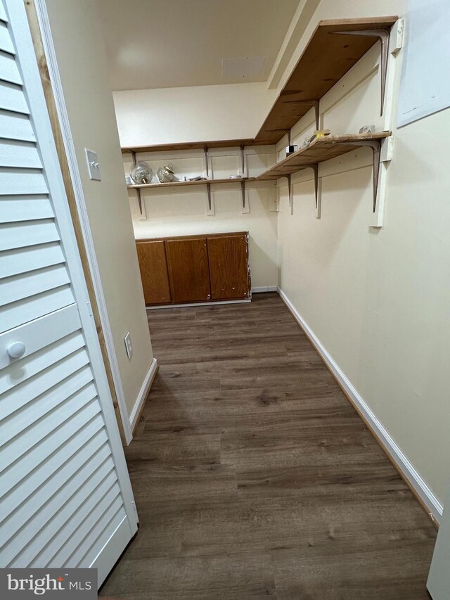 spacious closet featuring dark wood-type flooring