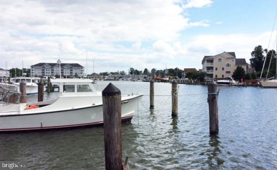 dock area with a water view