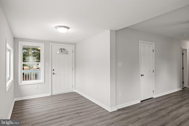 foyer entrance featuring wood-type flooring