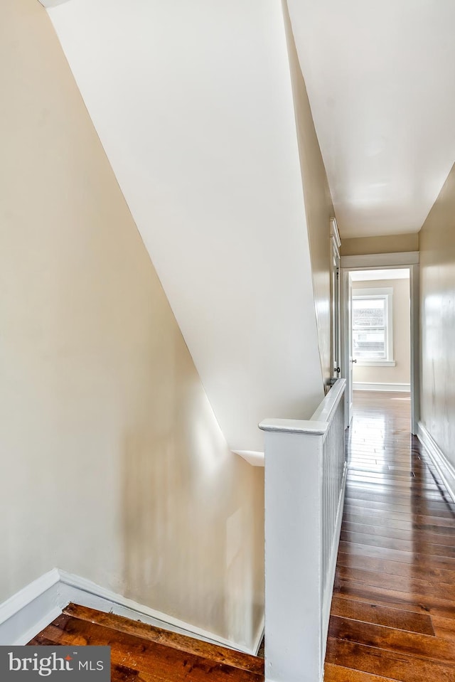 stairway featuring hardwood / wood-style flooring