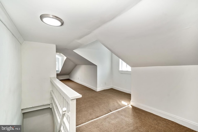 bonus room with carpet and vaulted ceiling