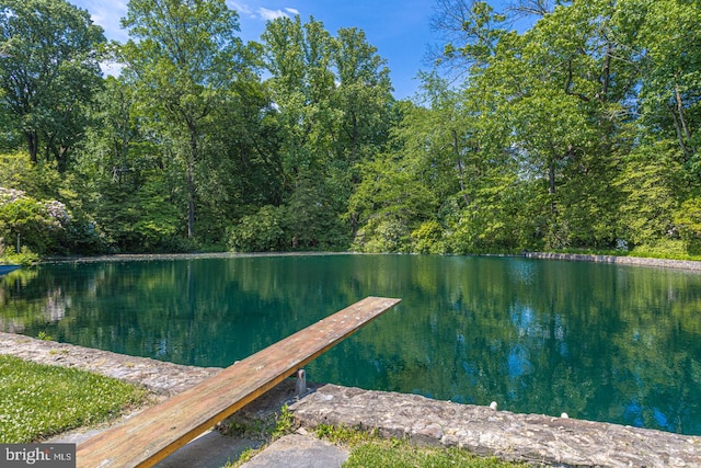 view of dock with a water view