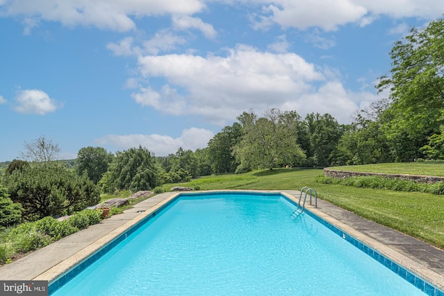 view of pool featuring a lawn