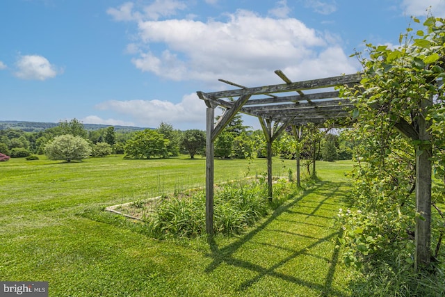 view of yard featuring a pergola