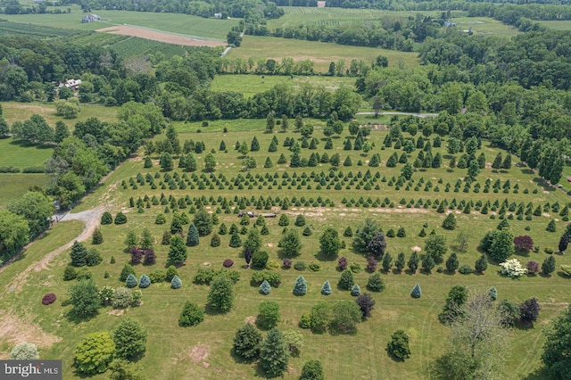 drone / aerial view featuring a rural view