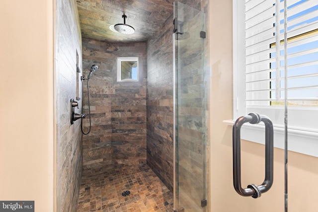 bathroom with a shower with door and a wealth of natural light