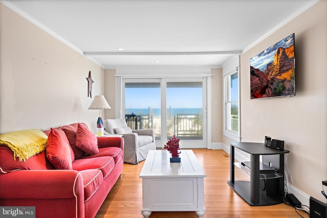 living room featuring ornamental molding and light hardwood / wood-style floors