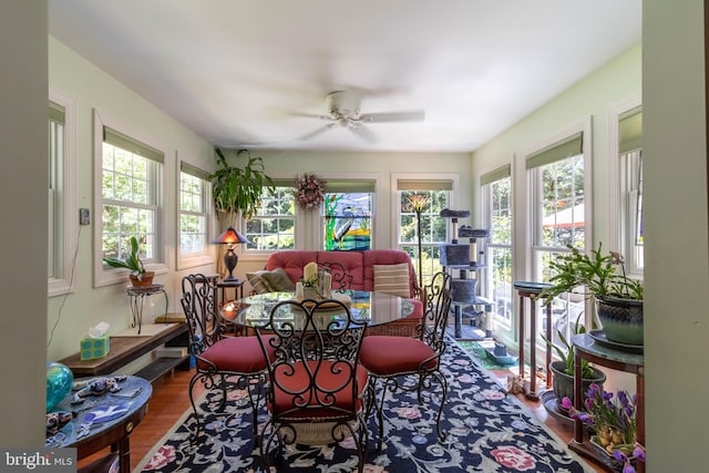 sunroom with ceiling fan