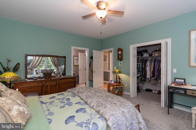 bedroom featuring a walk in closet, ceiling fan, a closet, and light carpet