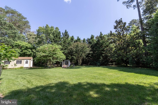 view of yard with an outbuilding