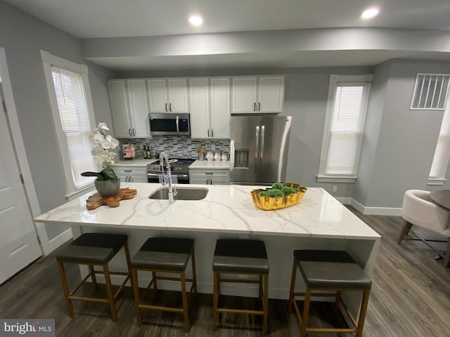 kitchen with dark hardwood / wood-style flooring, stainless steel appliances, light stone counters, and plenty of natural light