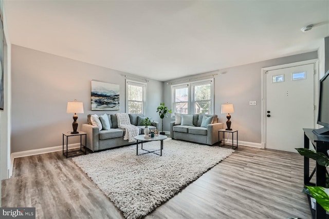 living room featuring wood-type flooring