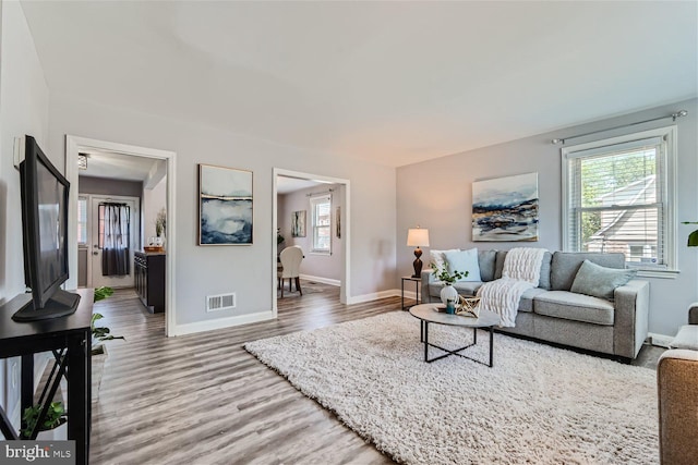 living room with hardwood / wood-style flooring