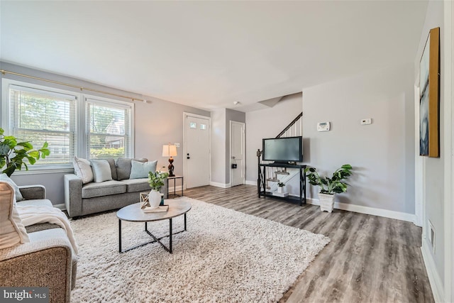 living room featuring wood-type flooring