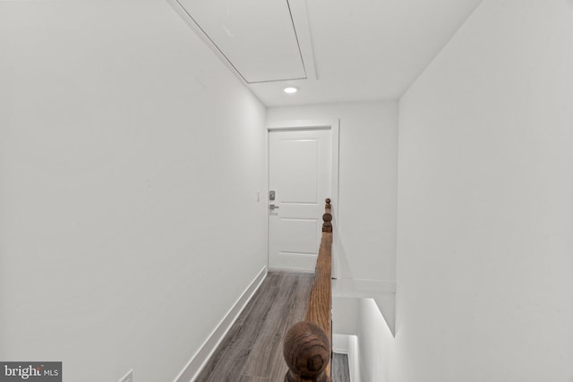 hallway featuring dark wood-type flooring