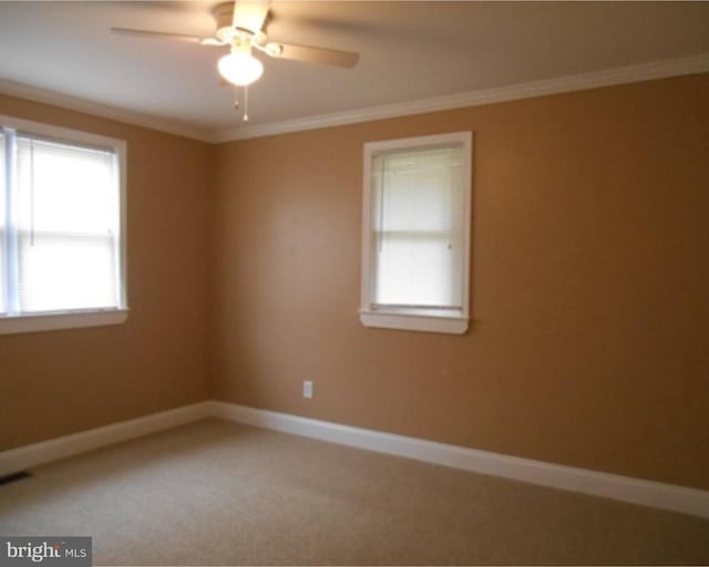 carpeted spare room featuring ornamental molding and ceiling fan