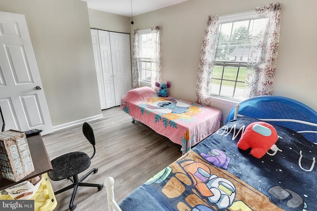 bedroom with multiple windows, a closet, and wood-type flooring